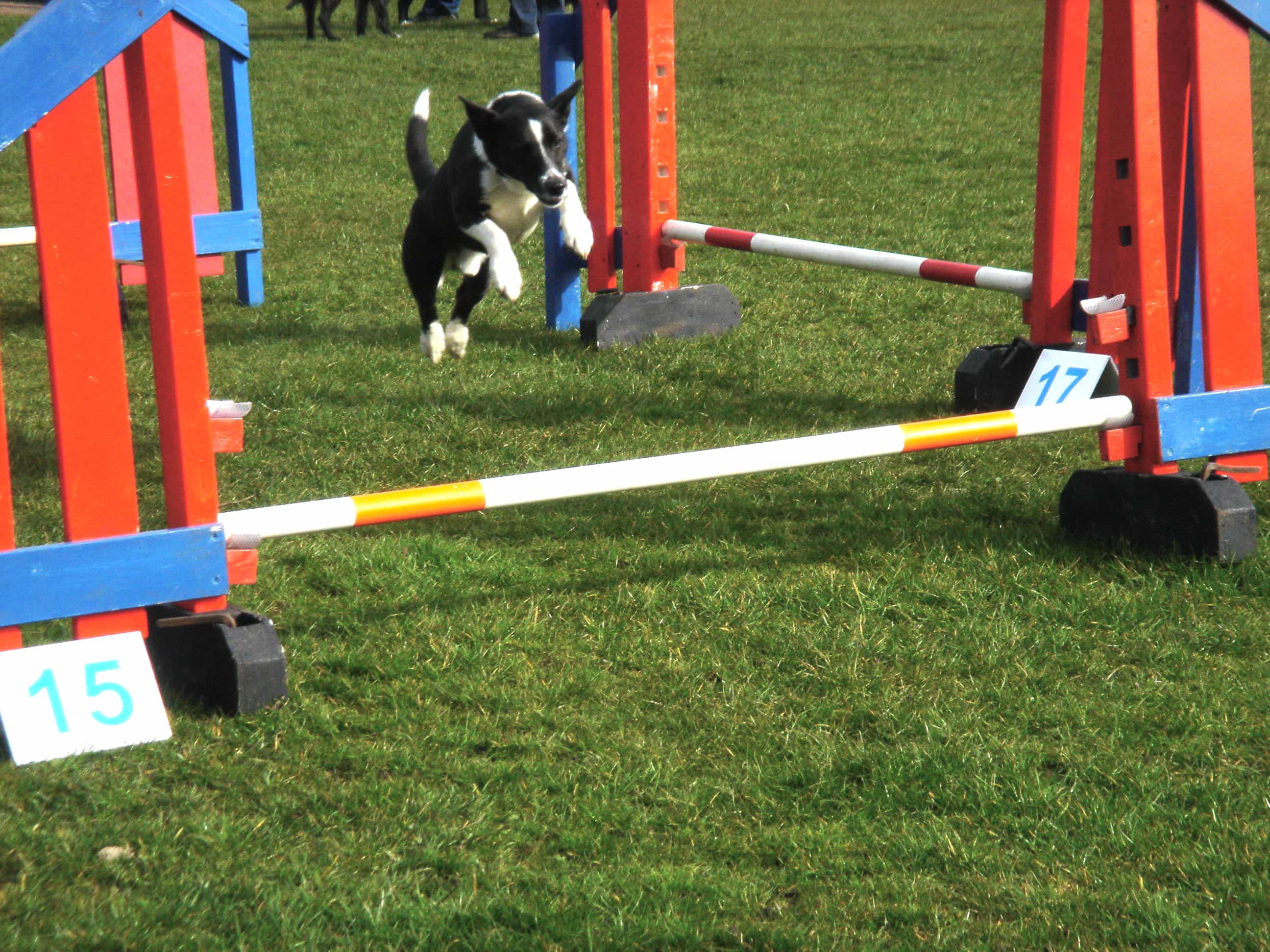 Lucky_Rainbow_Bridge